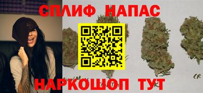 стаф Гагарин