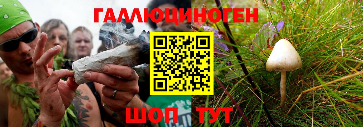 Лянтор  Псилоцибиновые грибы GOLDEN TEACHER  цены наркотик  Псилоцибиновые грибы Psilocybe  Вход с VPN 